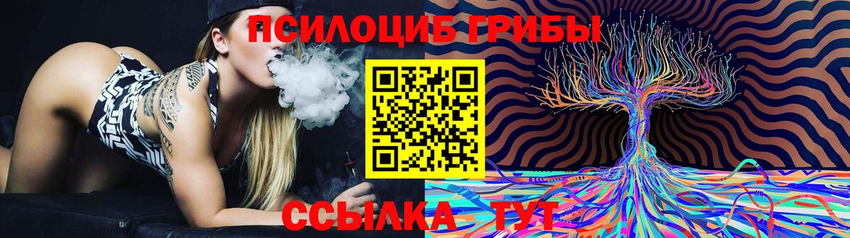 купить наркотик  Псилоцибиновые грибы Magic Shrooms  Вход с VPN  Алексин 
